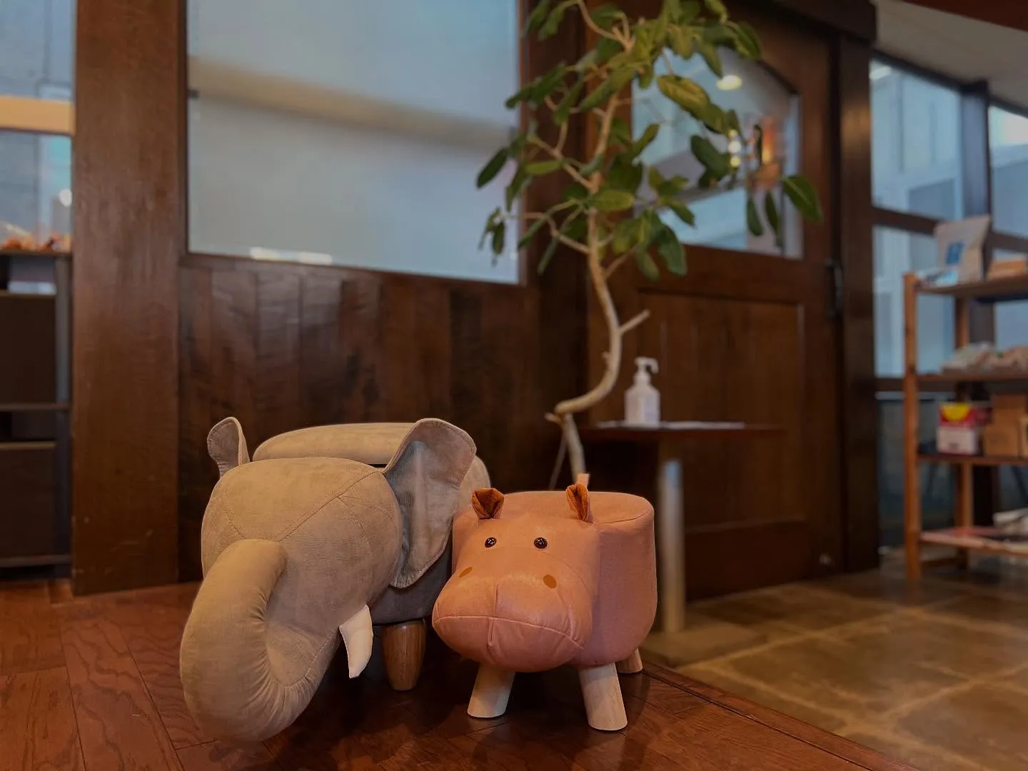 いつも店番してる2頭。