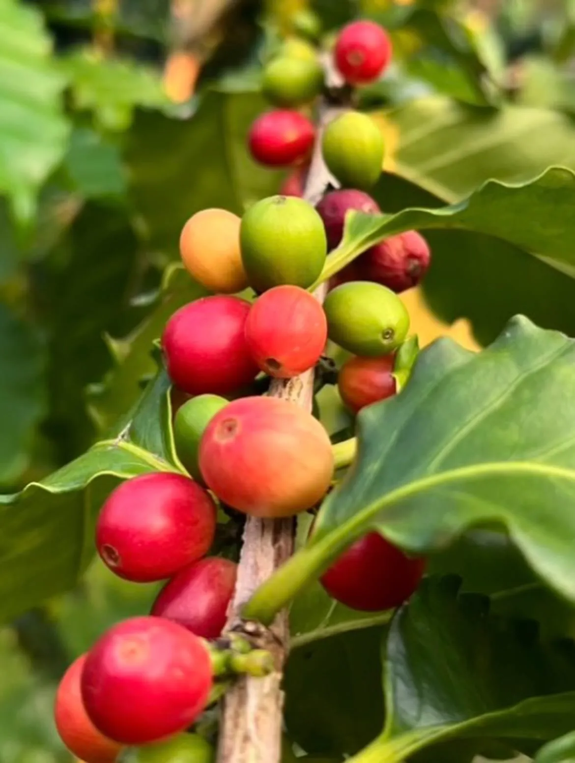 【イベント情報】