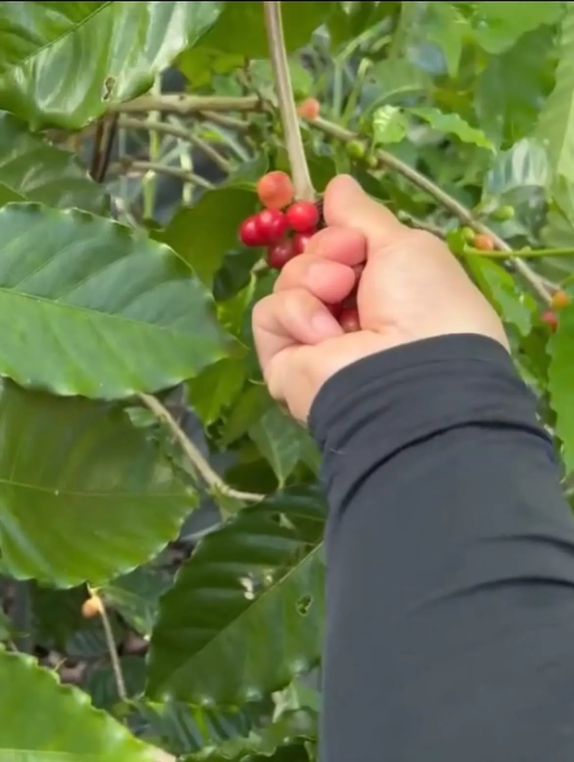 【イベント情報】